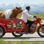 GMZH – Ein Lied über Zürich. Ein lustiges Alpenlied. Ein Lied über die Schweiz. Das beste Schweizer Lied. Das beste Schweizer Musikvideo. GMZH-Video über Zürich.