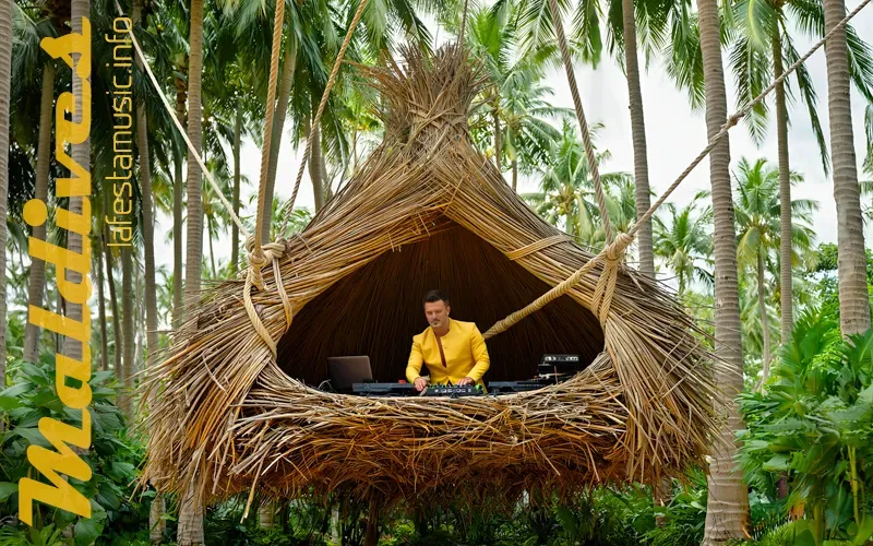 заказать шоу артистов в отель на Мальдивах, оригинальные развлекательные шоу в отелях на Мальдивах, шоу диджей на празднование в отеле на Мальдивах